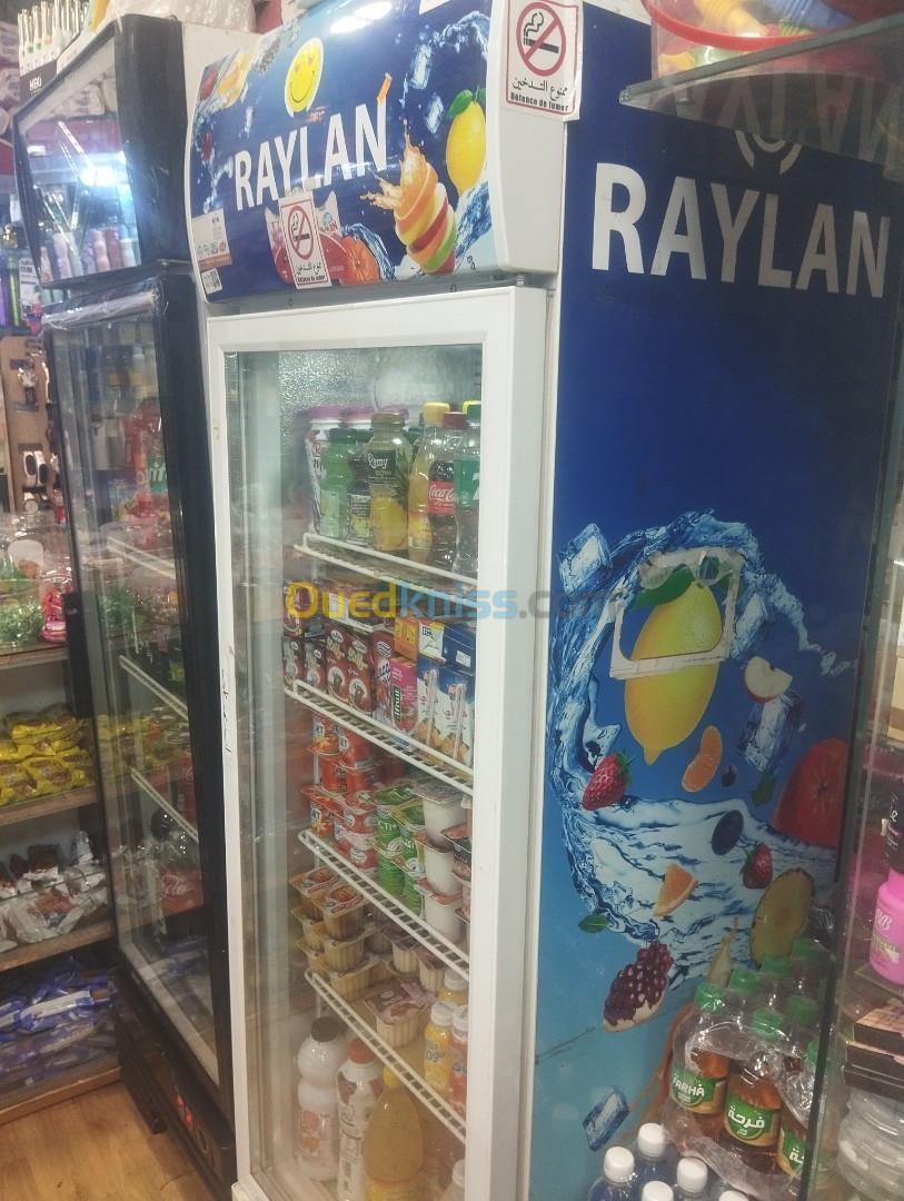 Frigo RAYLAN TRÈS BON ETAS