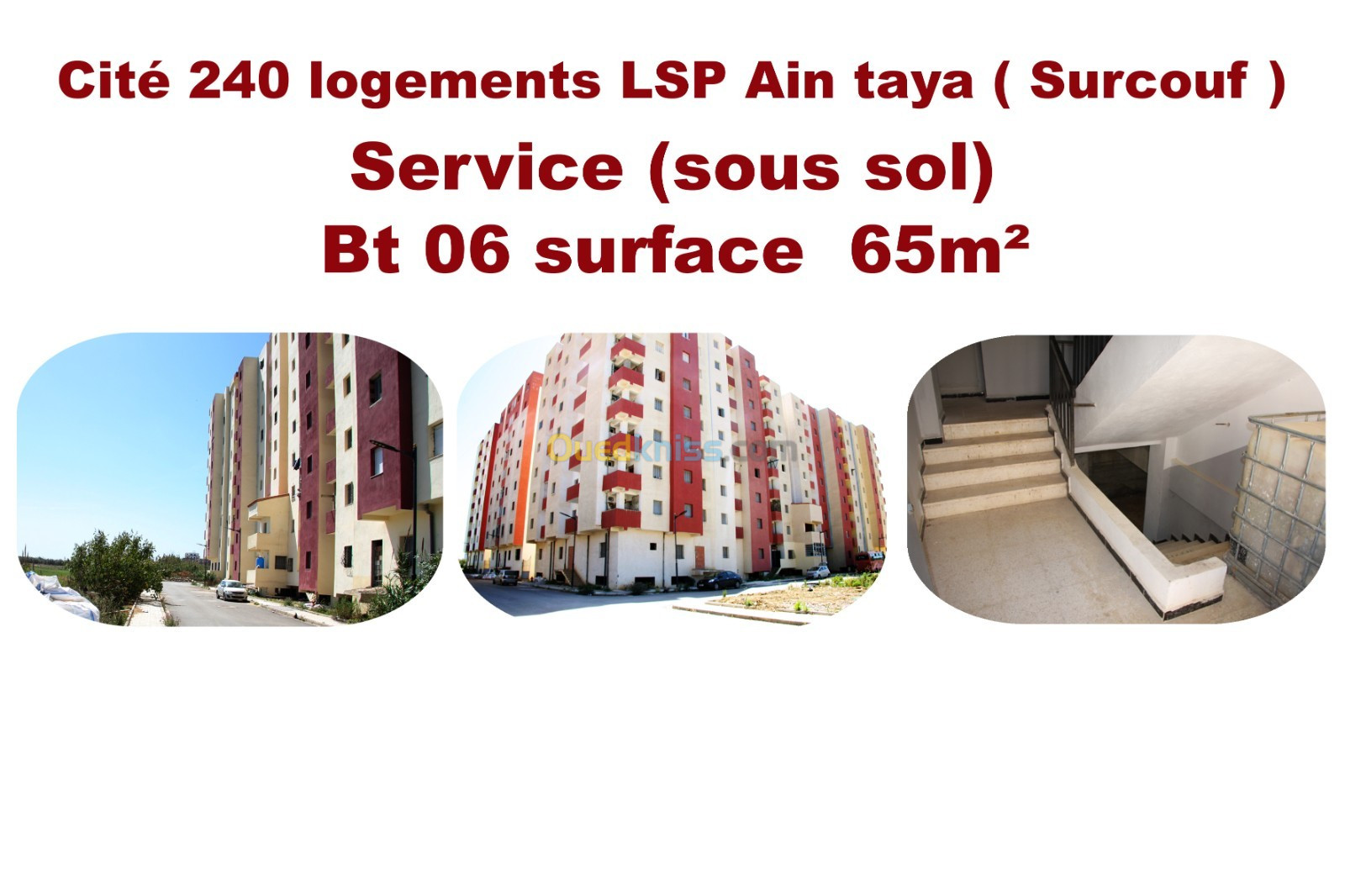 Vente Studio Alger Ain taya