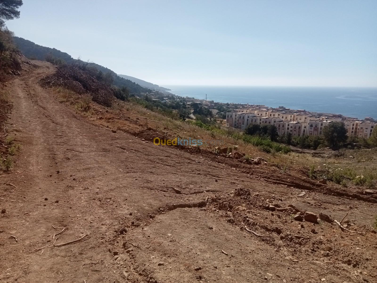 Vente Terrain Tipaza Larhat