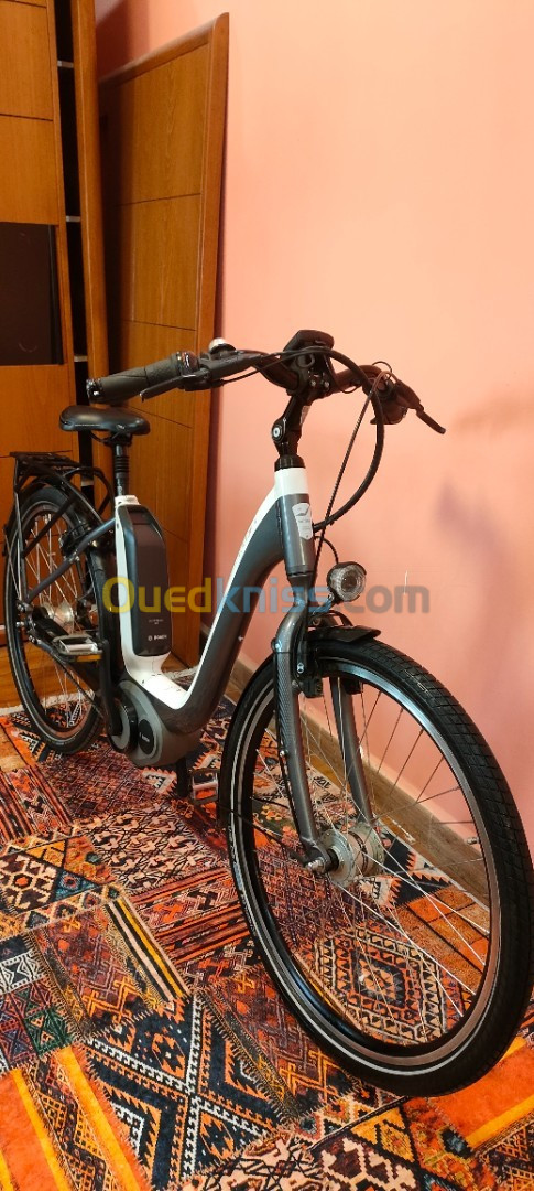 Victoria velo electrique hot sale