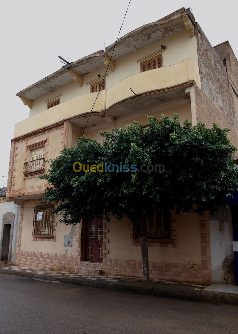 Vente Villa Relizane Ammi moussa