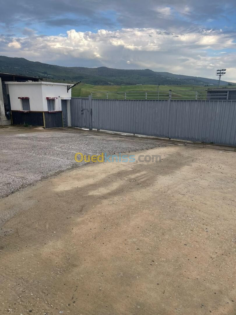 Vente Hangar Guelma Guelma