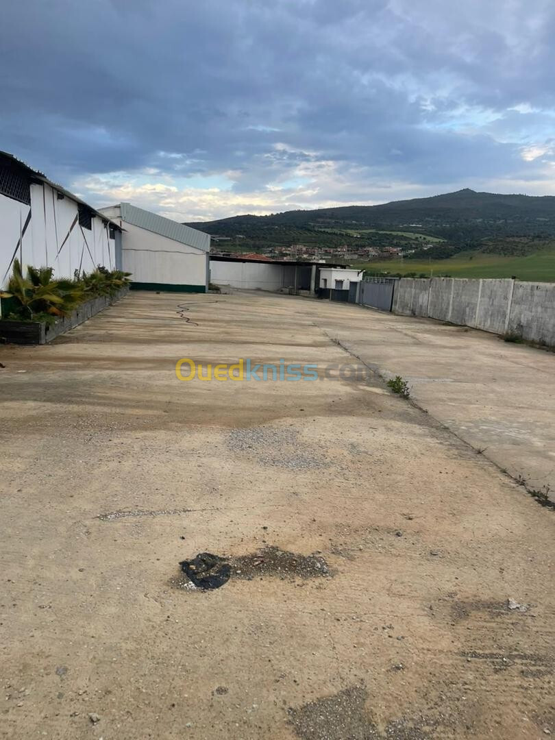 Vente Hangar Guelma Guelma