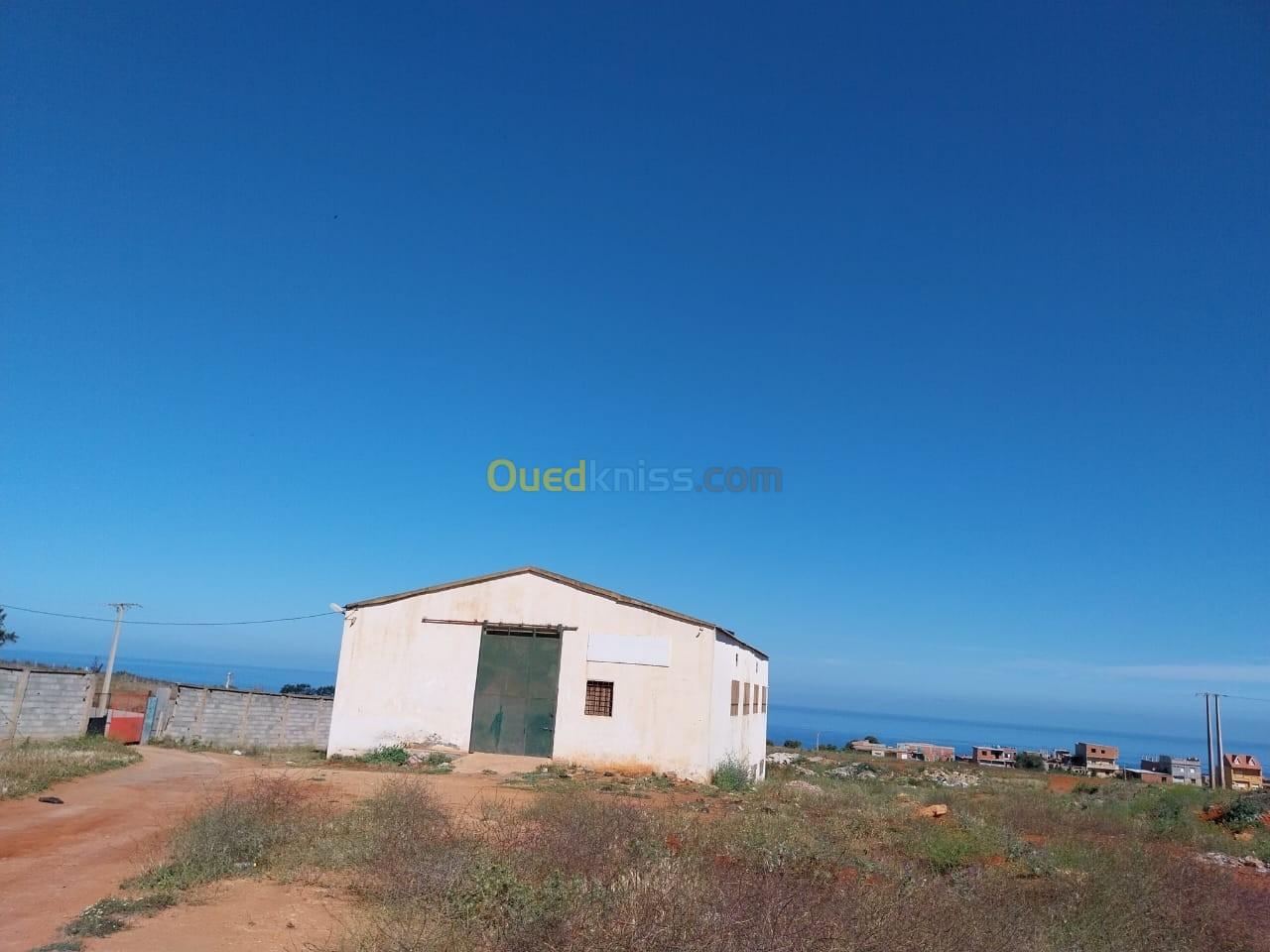 Location Hangar Tipaza Khemisti