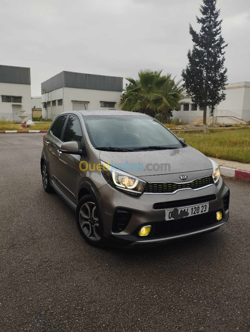 Kia Picanto 2020 Xline