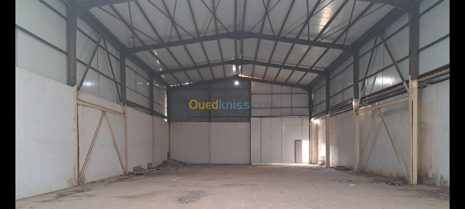 Location Hangar Blida Boufarik