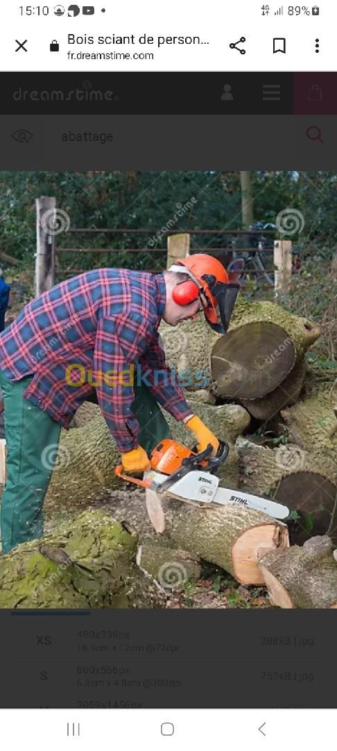 Abattage et couronnement  d'arbres. 