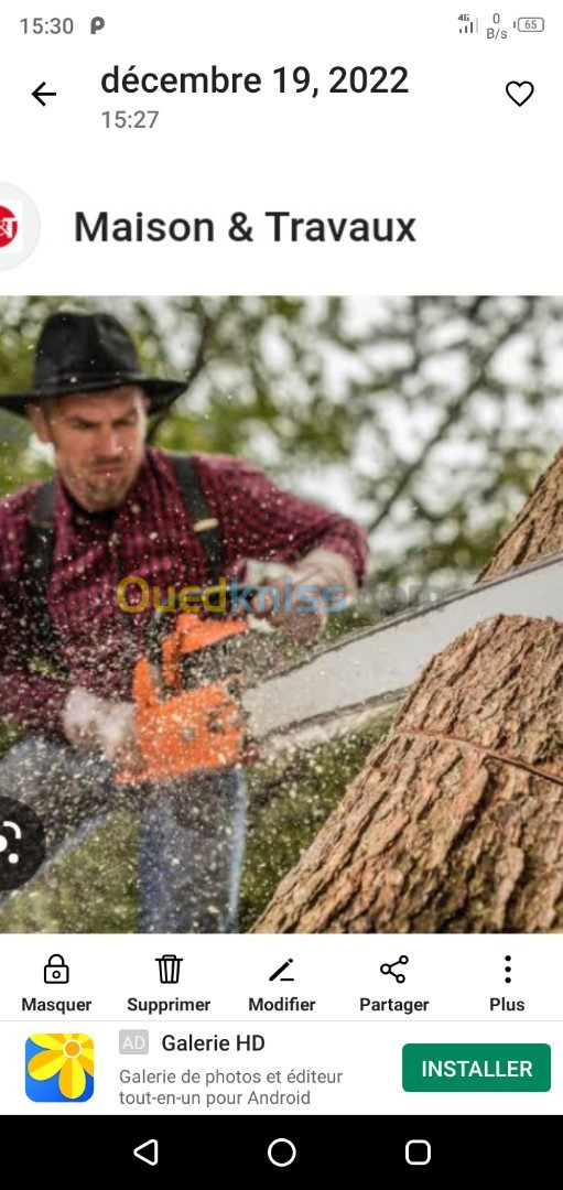 Abattage d'arbres nettoyage et aménagements des jardins