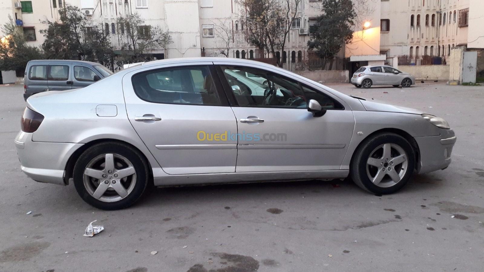 Peugeot 407 2007 407