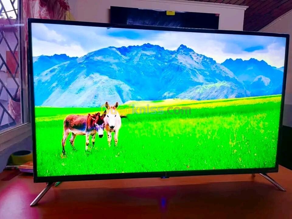 Tv Fennec 32pouce