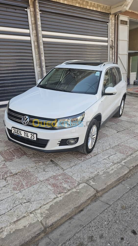 Volkswagen Tiguan 2014 Cup