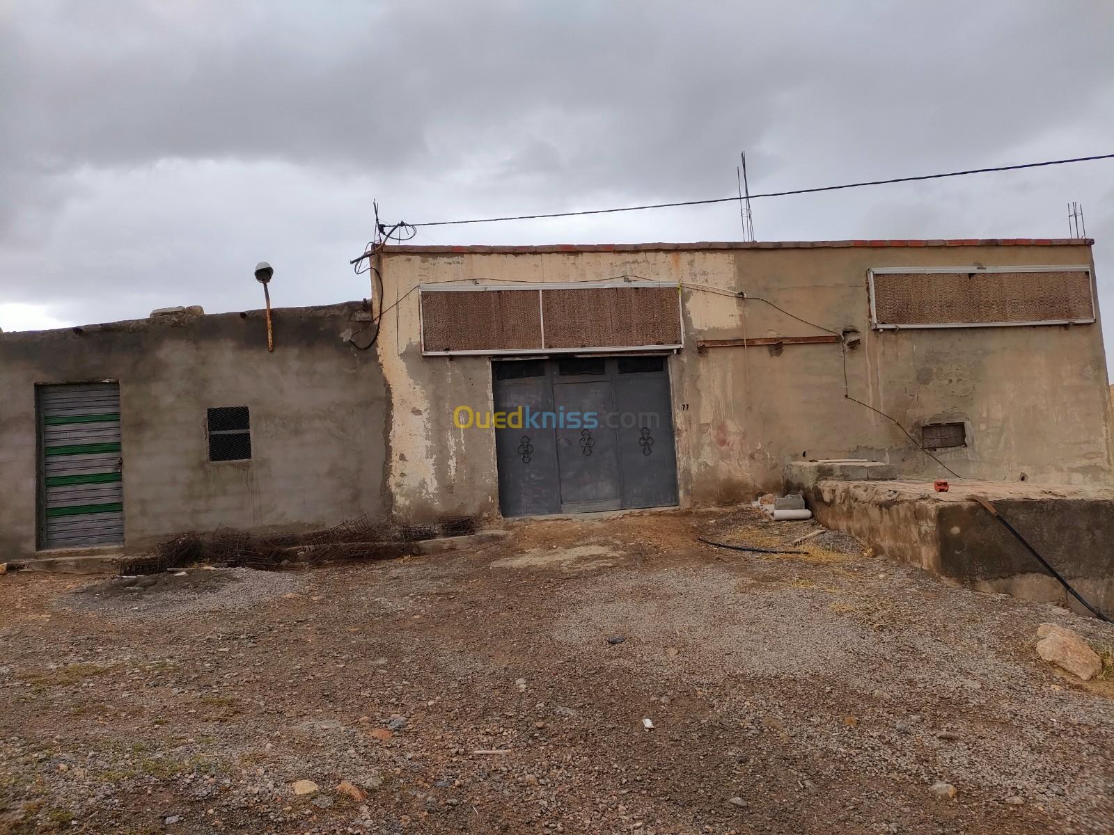 Location Hangar Setif Ain oulmene