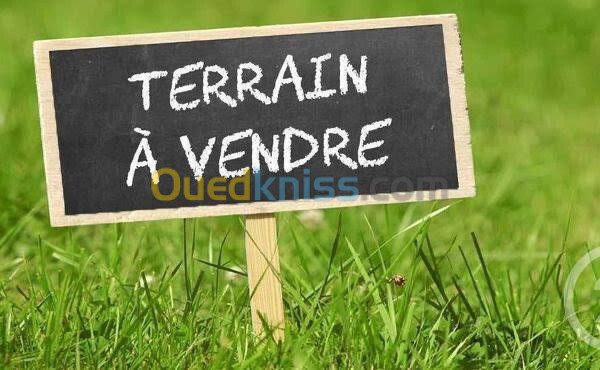 Vente Terrain Tizi Ouzou Azeffoun