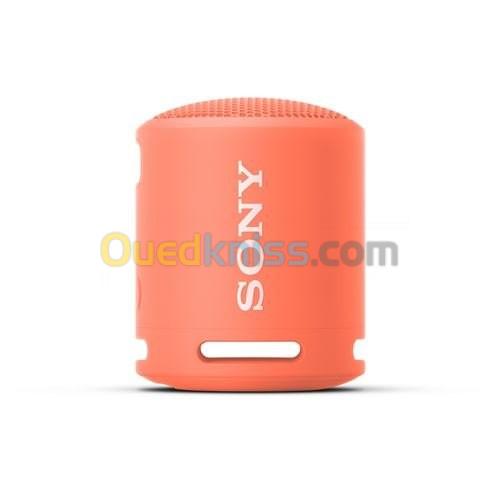 Enceinte sans fil Bluetooth Sony SRS XB13