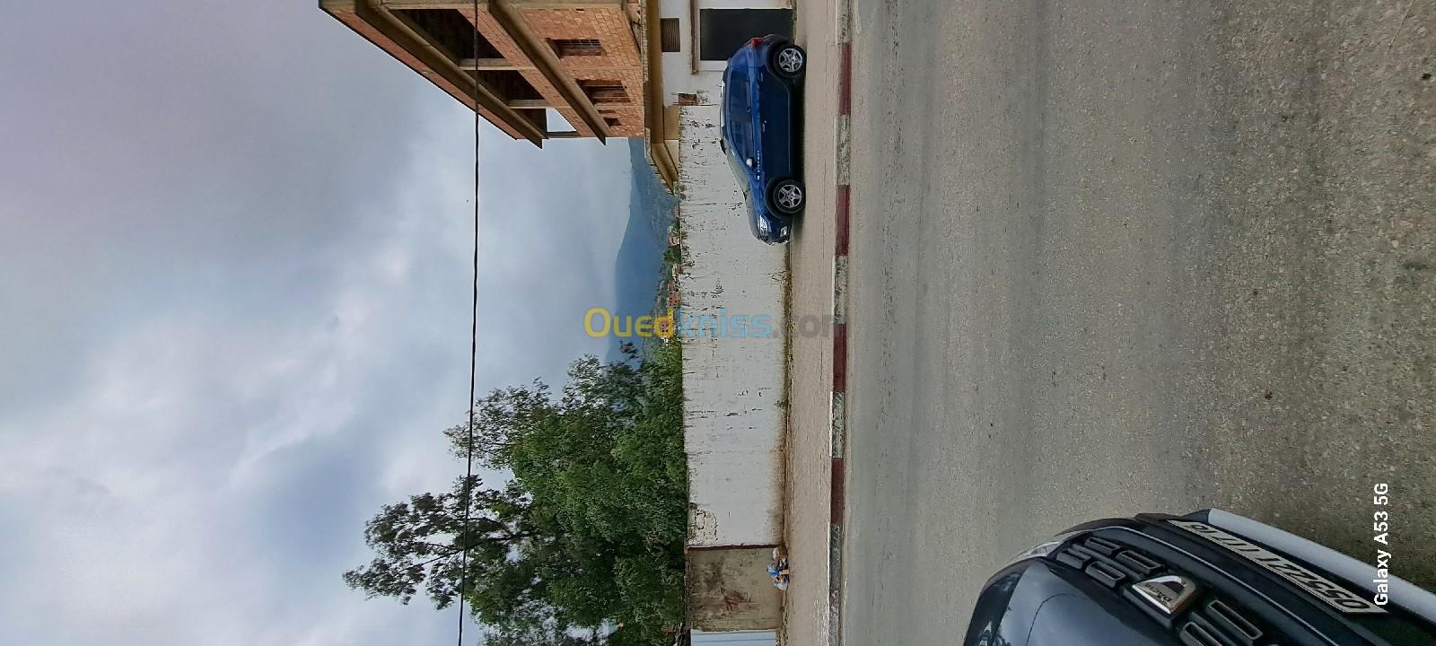 Vente Terrain Blida Blida