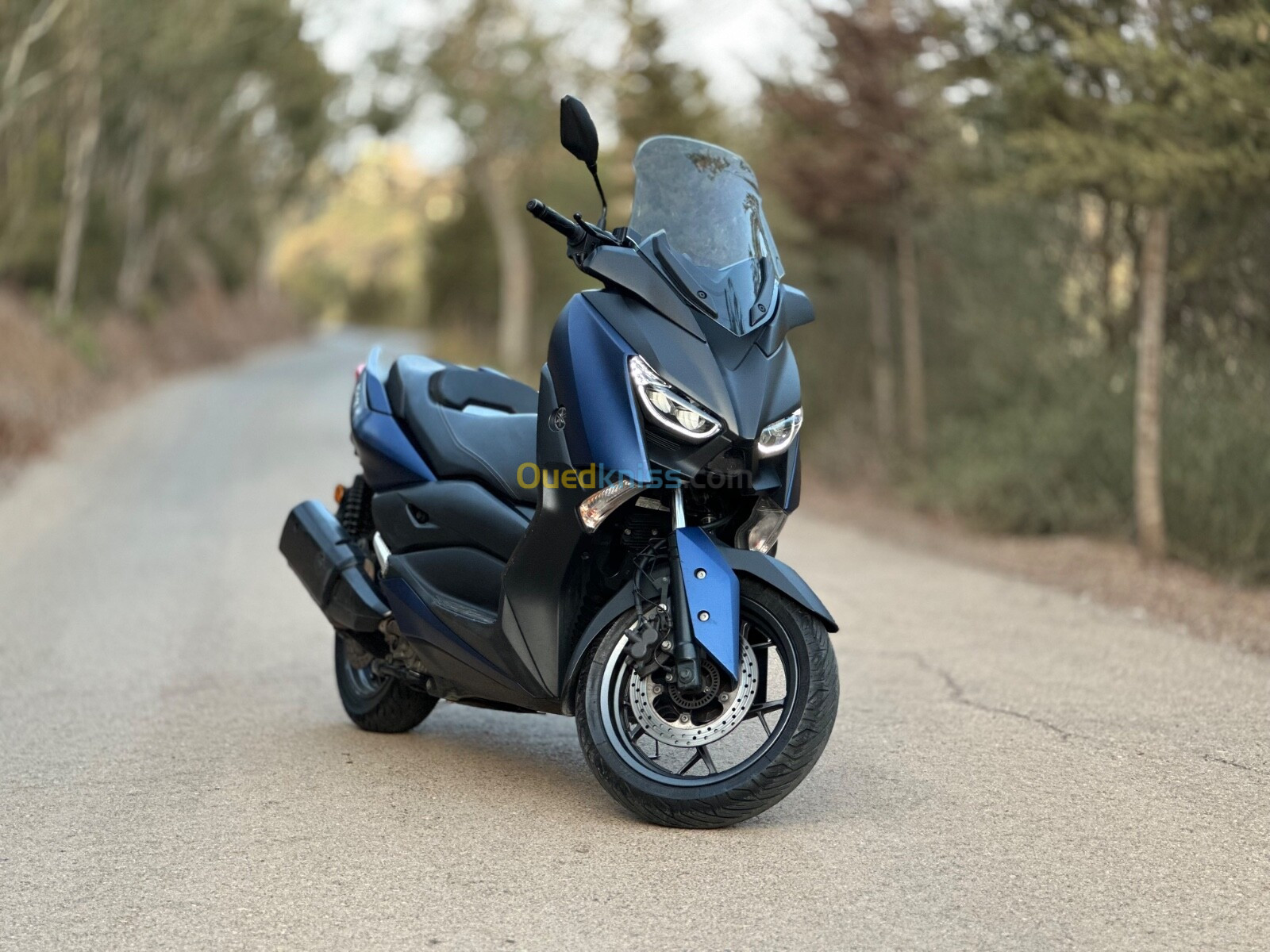 Yamaha Xmax 2020