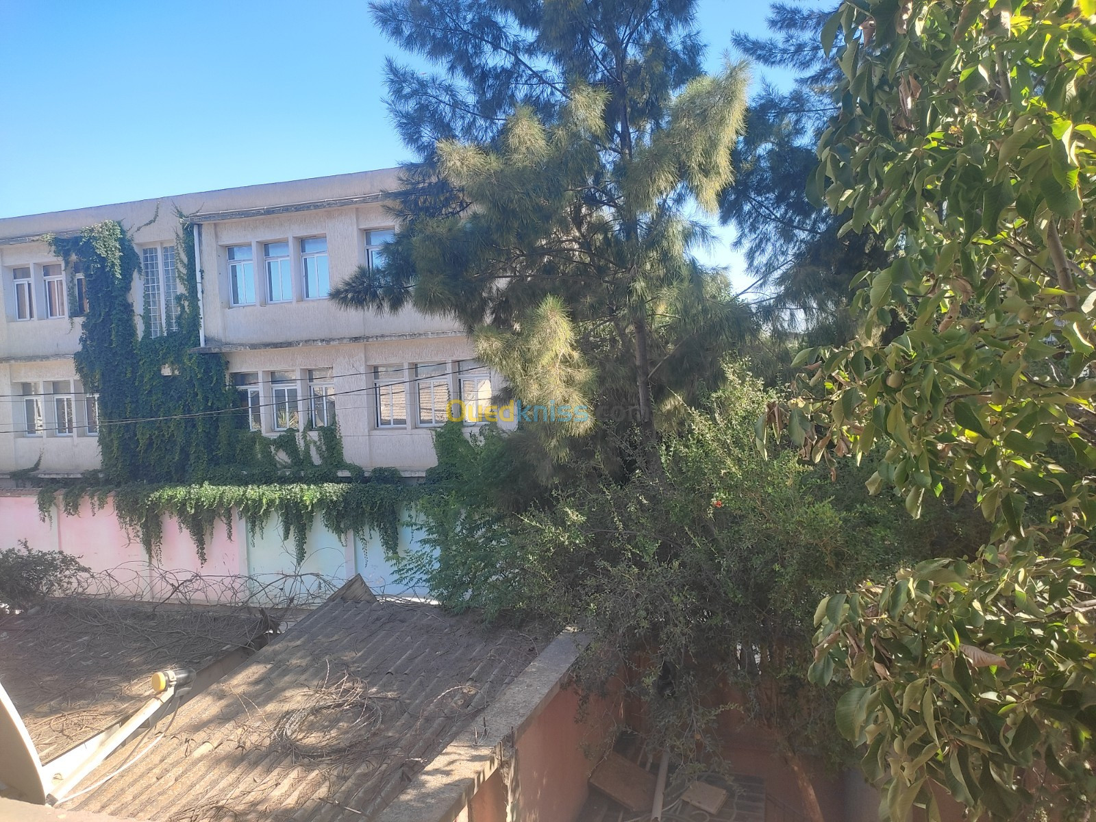 Location Appartement F4 Alger Oued smar