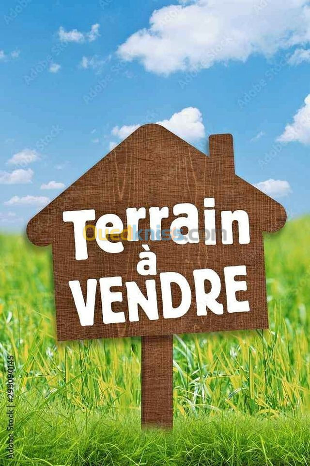 Vente Terrain Alger Bouzareah