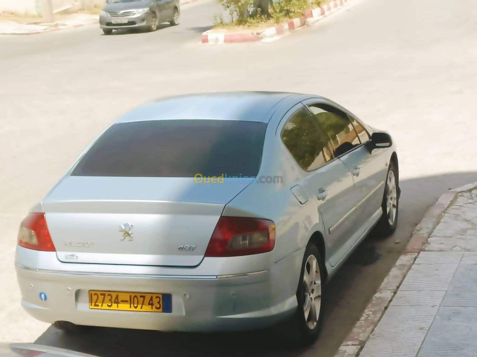 Peugeot 407 2007 407