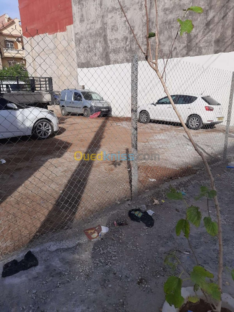 Vente Terrain Alger Bordj el kiffan