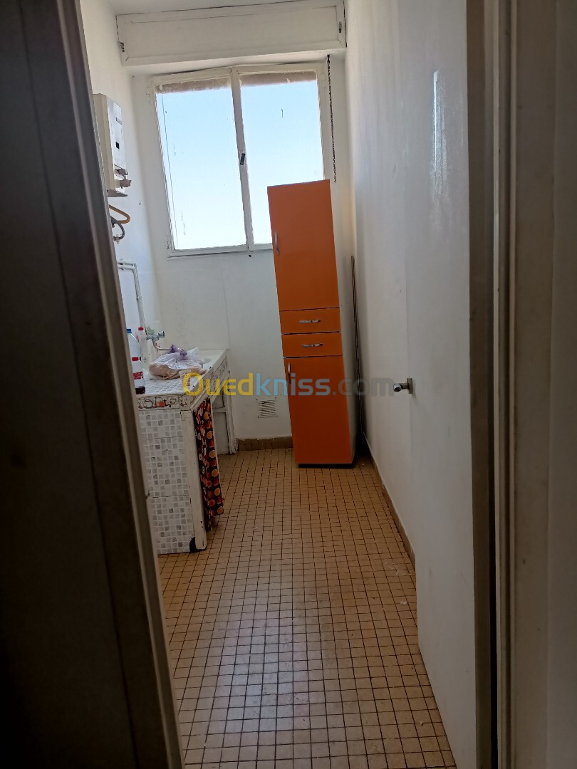 Location Appartement F3 Alger Alger centre