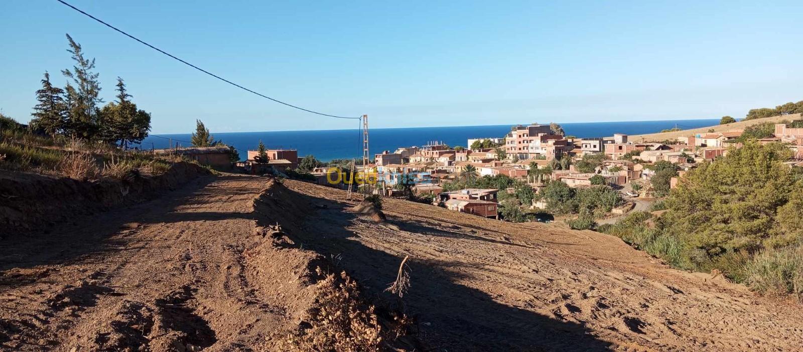 Vente Terrain Tipaza Sidi ghiles