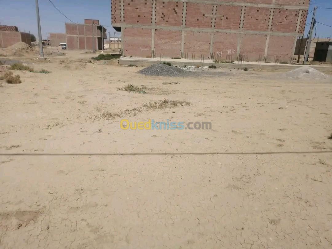 Vente Terrain Biskra El outaya