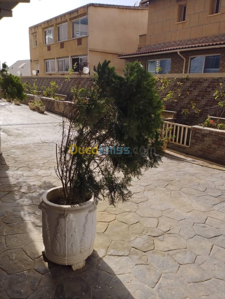 Vente Appartement F3 Alger El achour