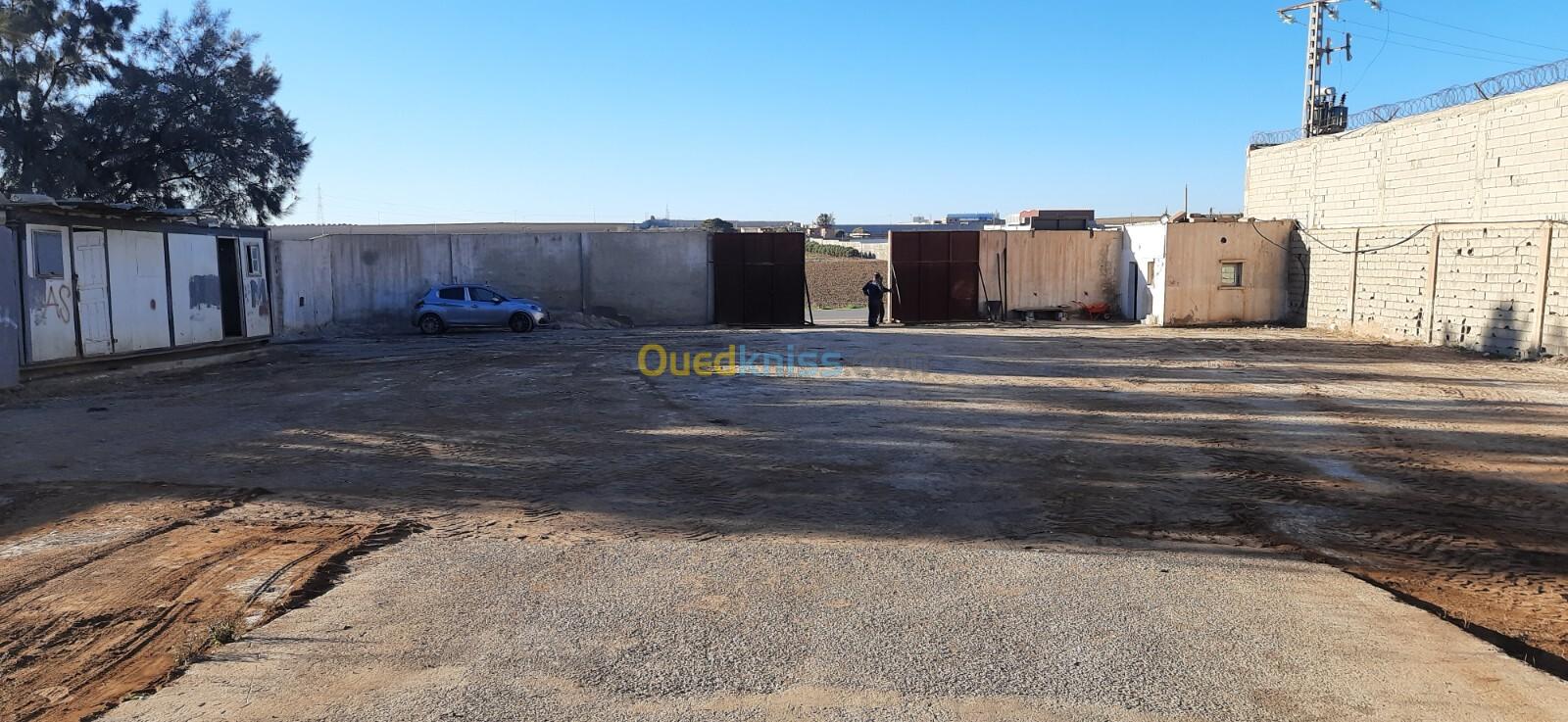 Location Hangar Oran El Kerma