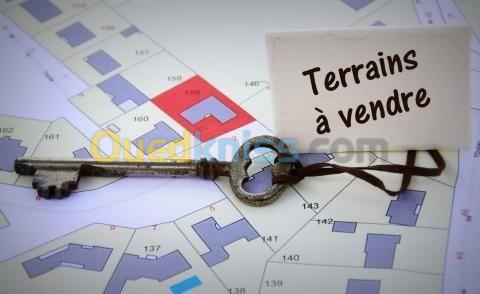 Vente Terrain Alger Bouzareah