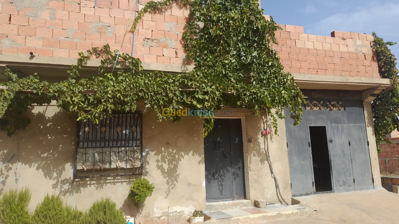 Vente Appartement F4 Mostaganem Hassi maameche