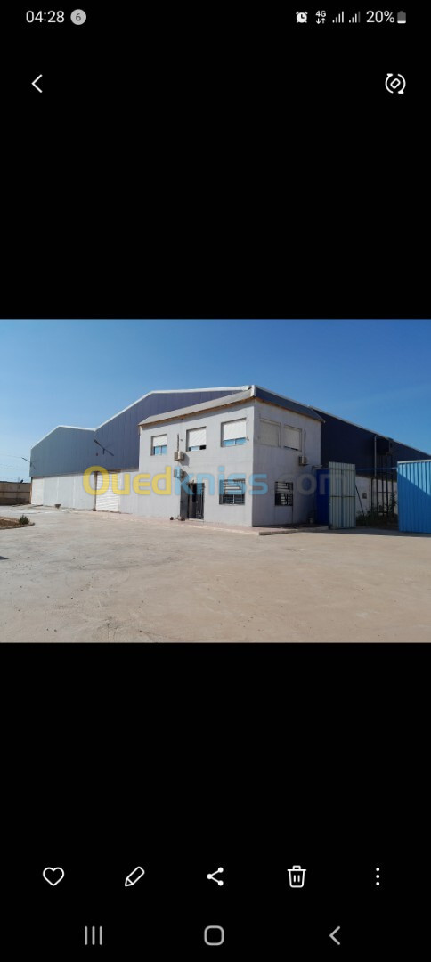 Location Hangar Oran Tafraoui