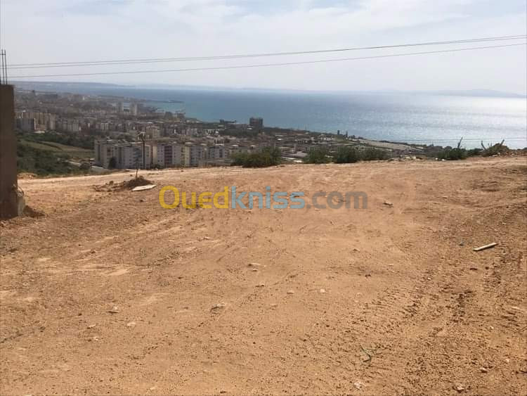 Vente Terrain Mostaganem Sayada