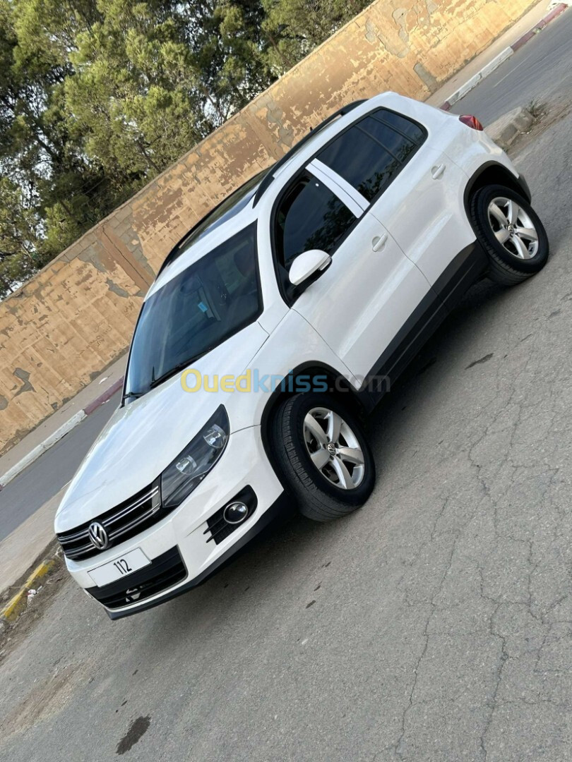 Volkswagen Tiguan 2012 Style