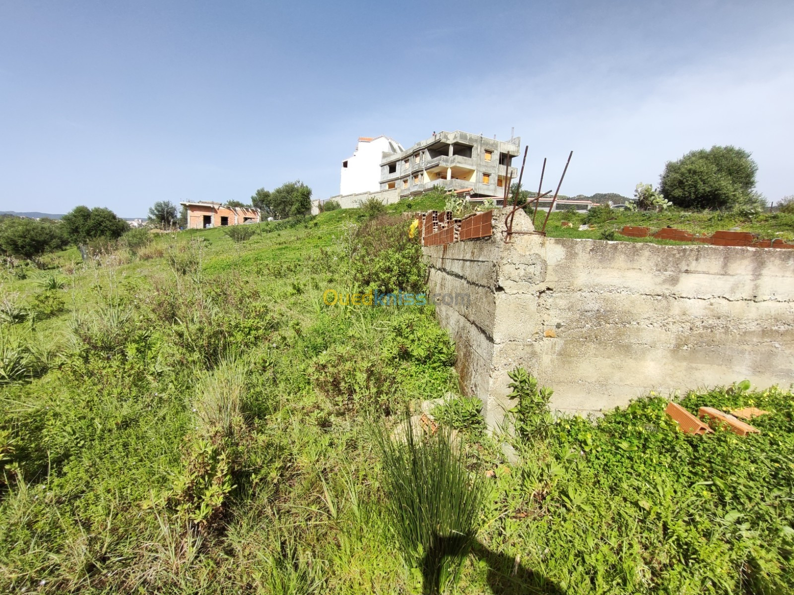 Vente Terrain Tizi Ouzou Azazga