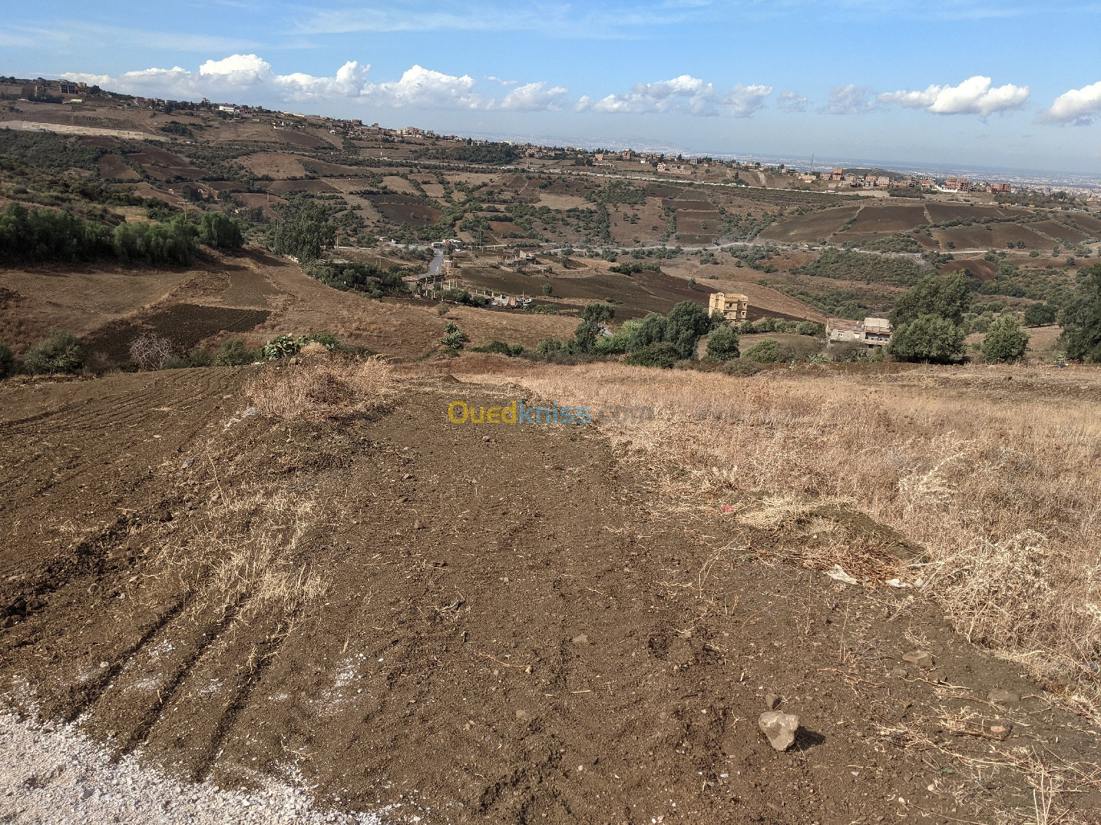 Vente Terrain Agricole Boumerdès El kharrouba