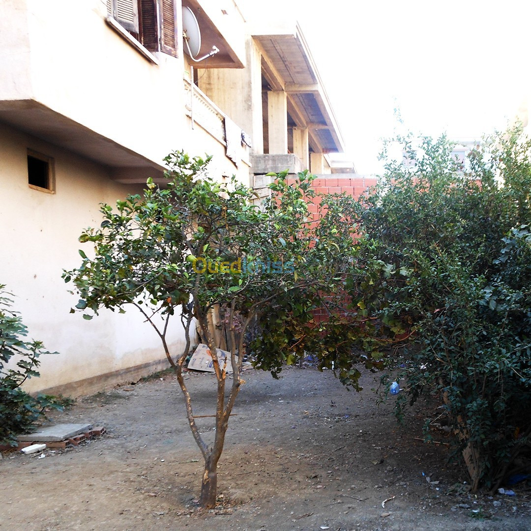 Location Niveau De Villa F4 Boumerdes Hammedi