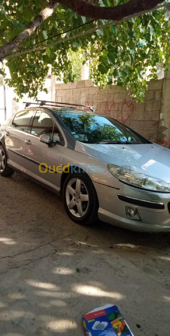 Peugeot 407 2006 407