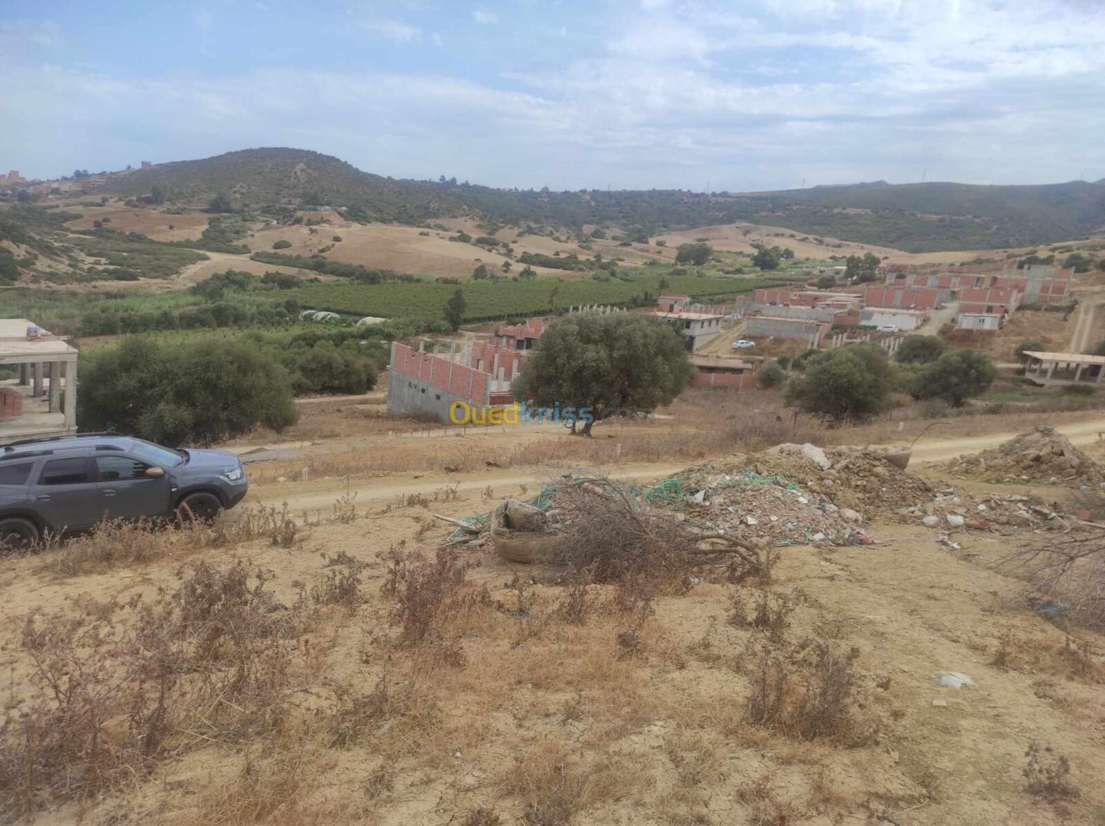 Vente Terrain Boumerdès Zemmouri