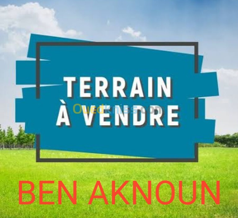 Vente Terrain Alger Ben aknoun