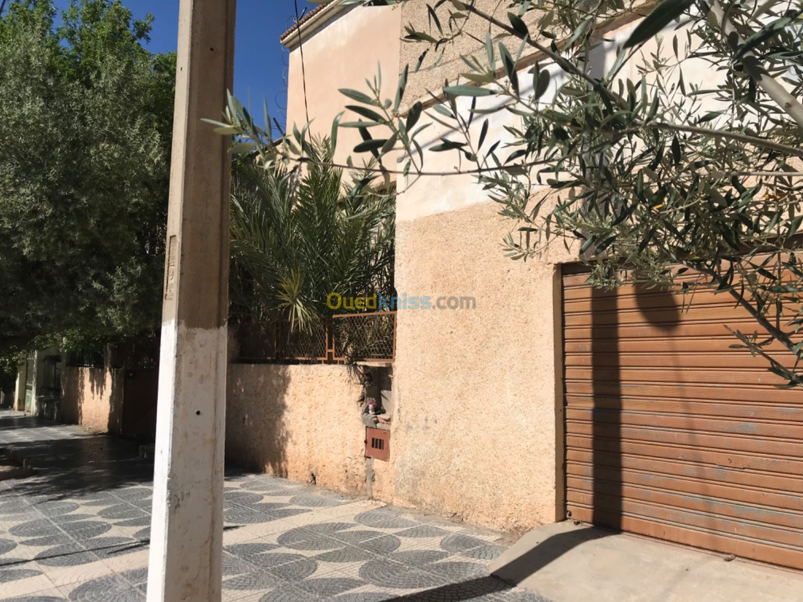 Vente Villa Sidi Bel Abbès Sidi ali boussidi