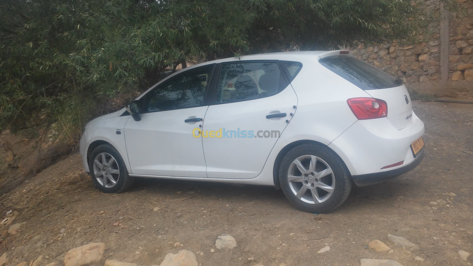 Seat Ibiza 2010 Loca