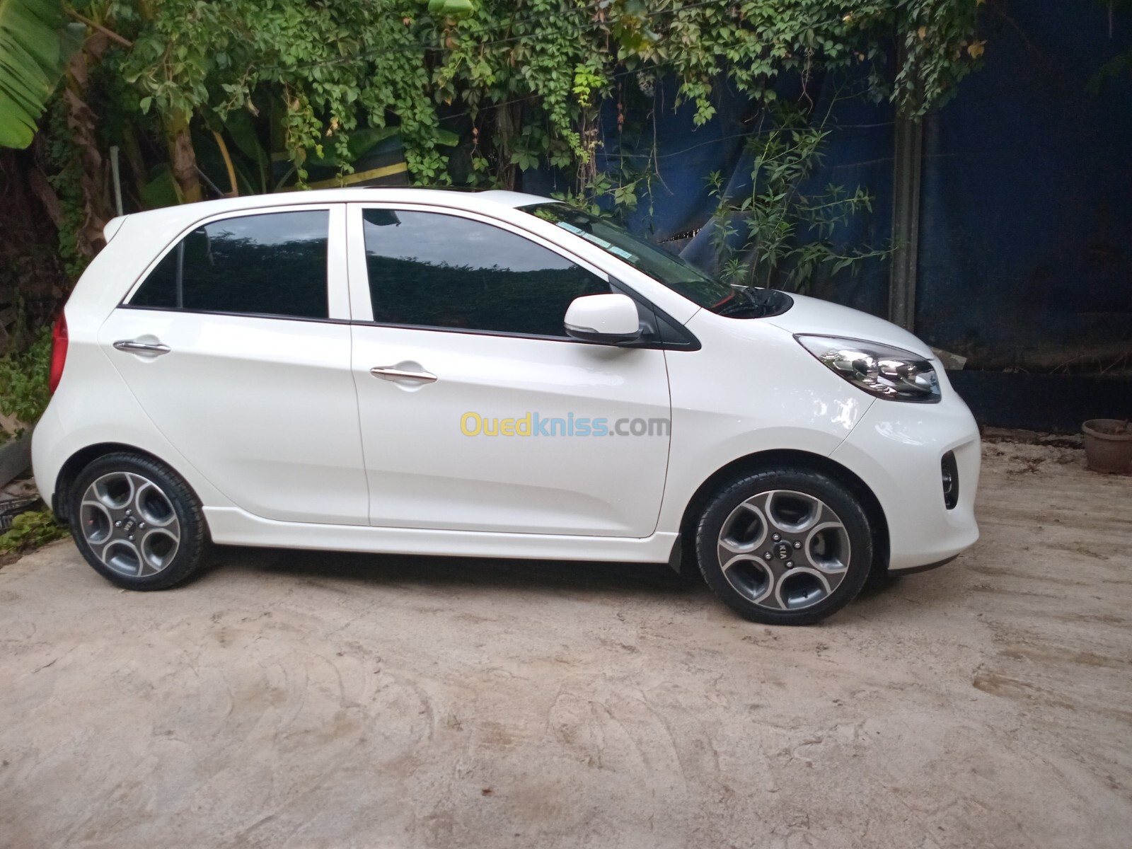 Kia Picanto 2015 Sportline