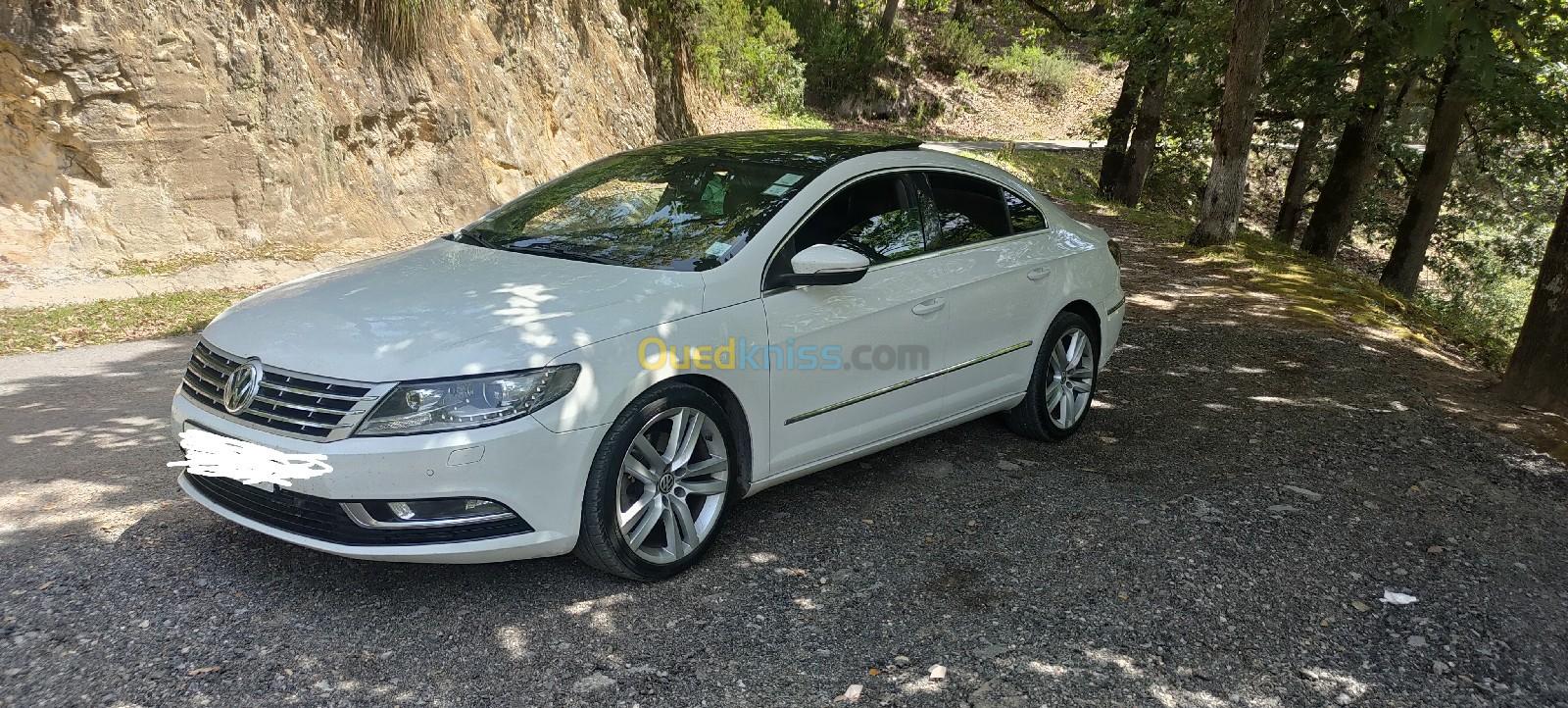 Volkswagen Passat CC 2012 Passat CC