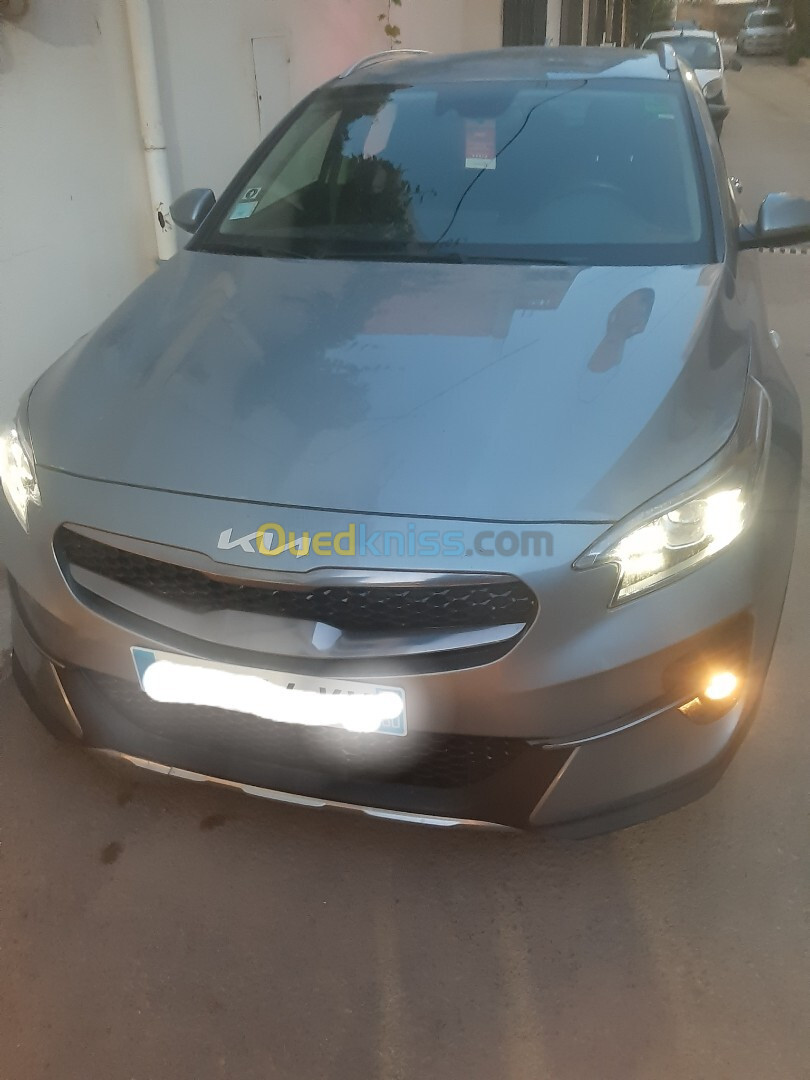 Kia xceed 2022 active