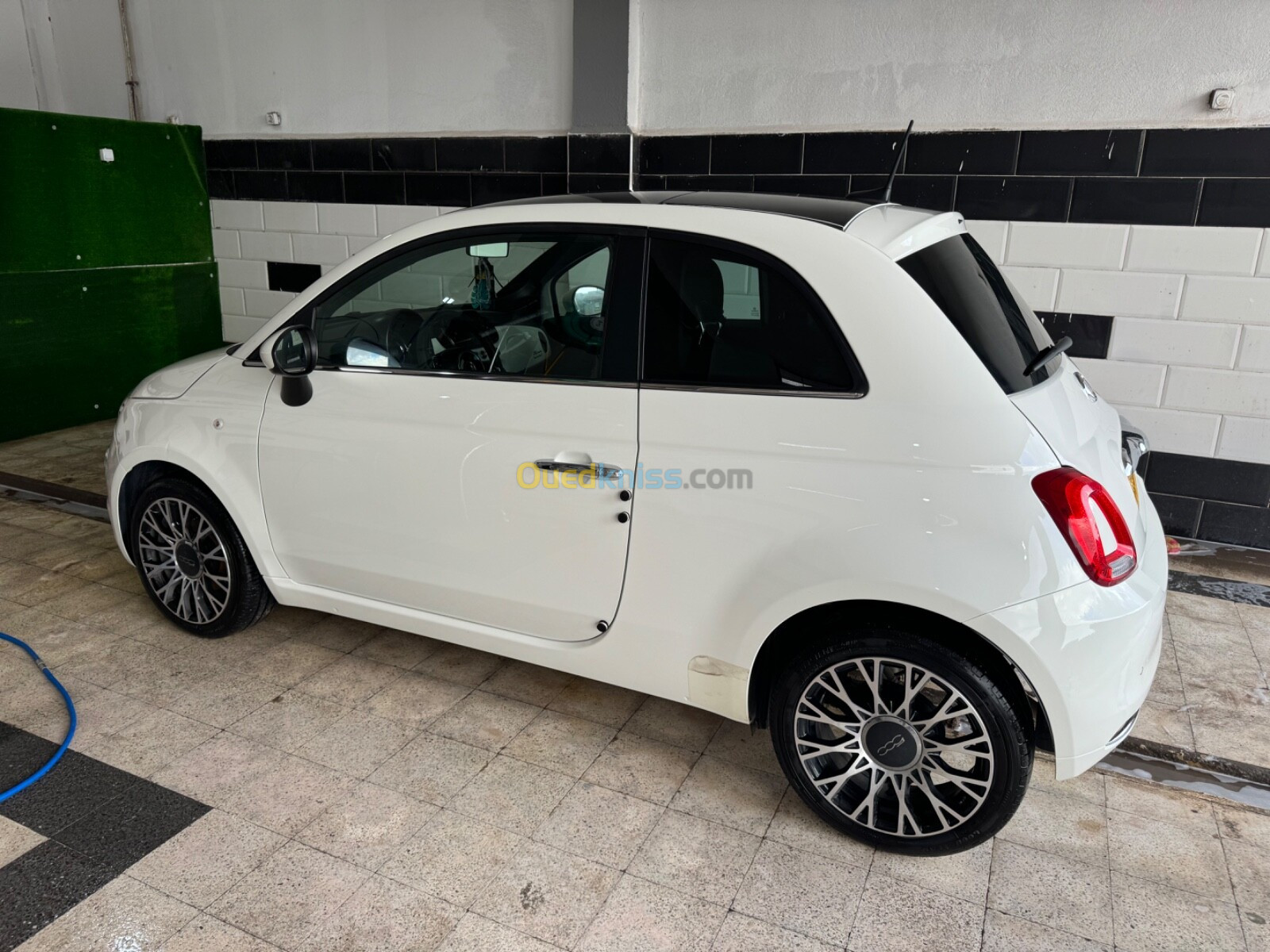 Fiat 500 2024 