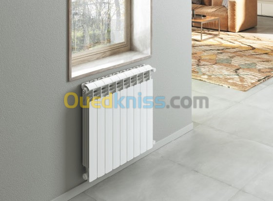 Radiateur GLOBAL VOX