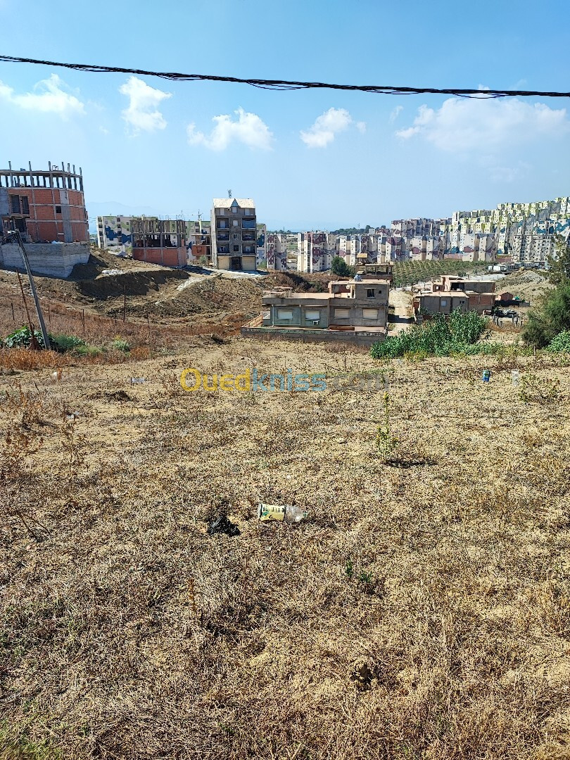 Vente Terrain Alger Zeralda