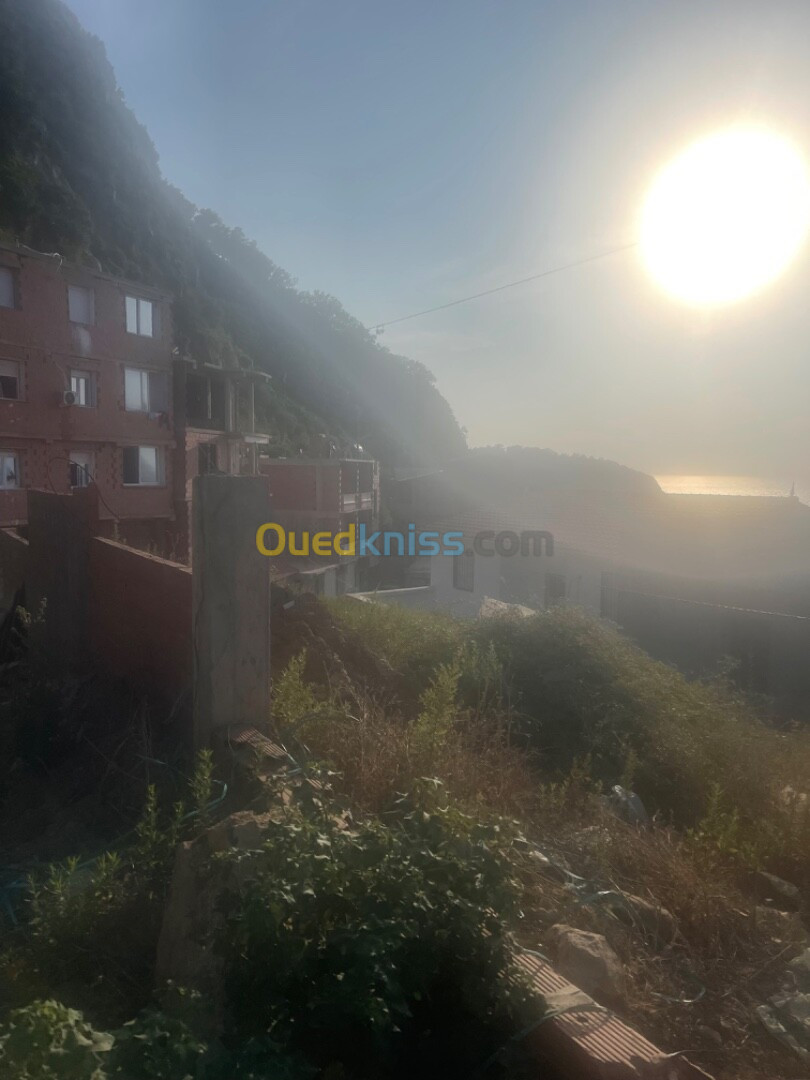 Vente Terrain Jijel El aouana