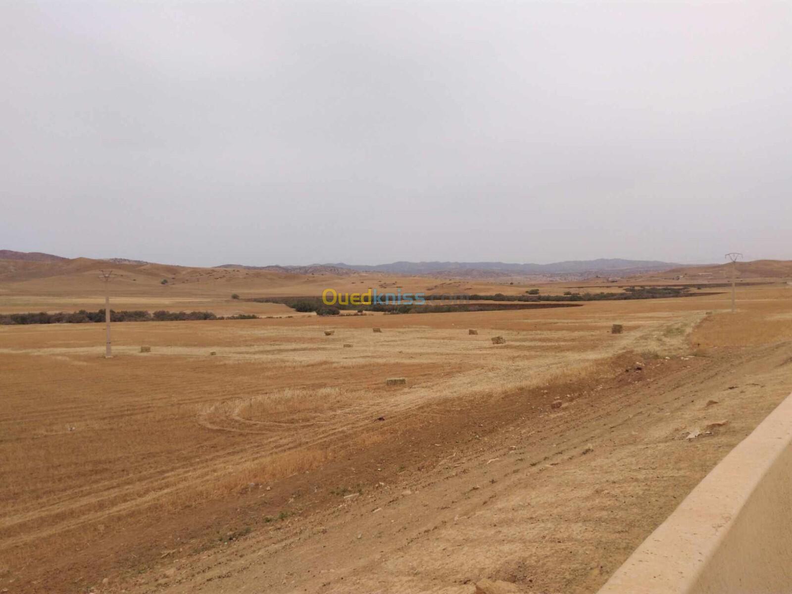 Vente Terrain Médéa Ksar boukhari